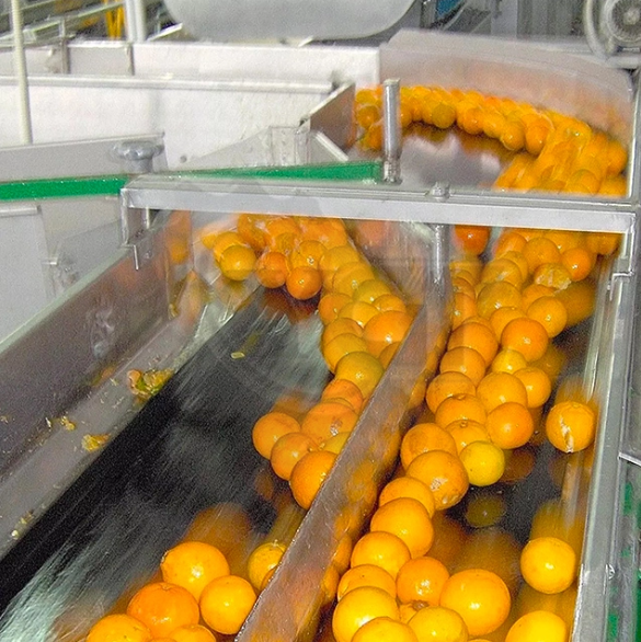 Fresh Fruit Juice Processing Plant