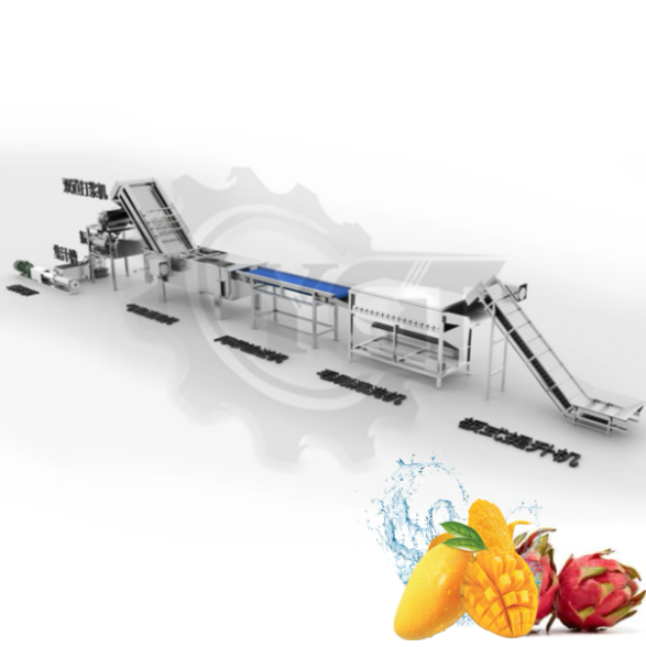 Small-Scale Fresh Fruit Juice Processing Plant