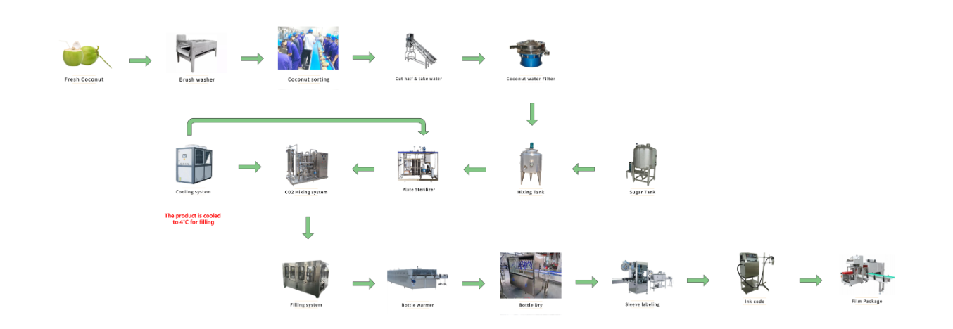 Coconut Processing Line Production Flow