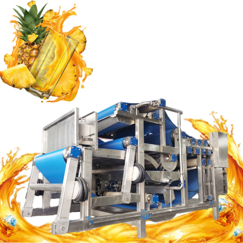 Pineapple Processing Line